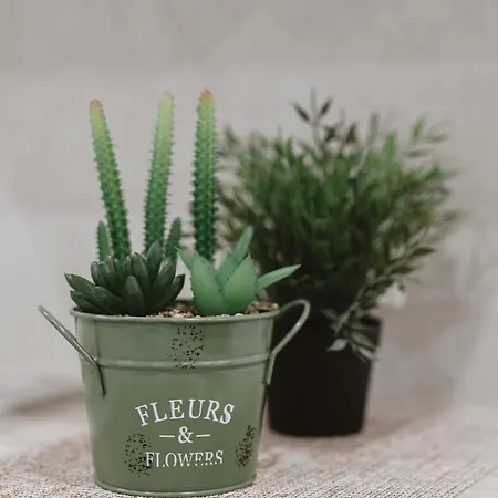 Dimora Del Moro Lägenhet